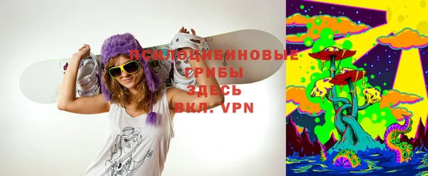трава Инсар
