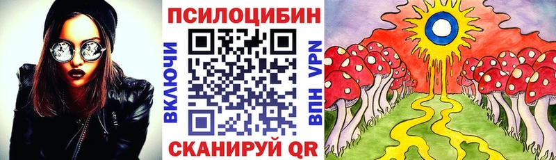 Псилоцибиновые грибы Magic Shrooms Вятские Поляны